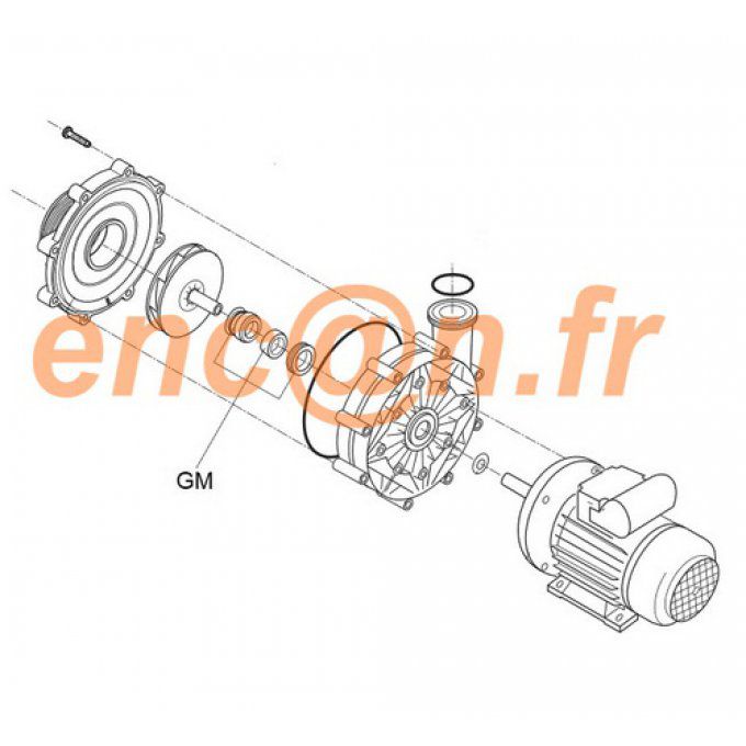 Pièces détachées de pompe Desjoyaux P18