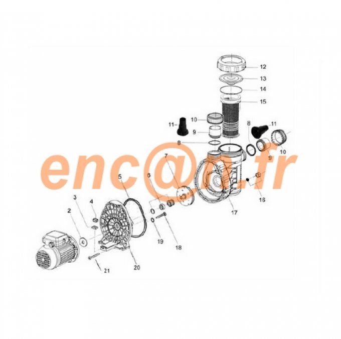 Pièces détachées de pompe Hors sol MAJESTIC TIMER Ref. C-11-208652